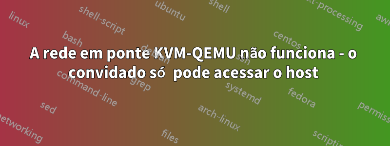 A rede em ponte KVM-QEMU não funciona - o convidado só pode acessar o host