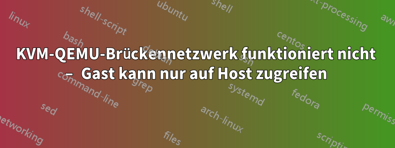 KVM-QEMU-Brückennetzwerk funktioniert nicht – Gast kann nur auf Host zugreifen