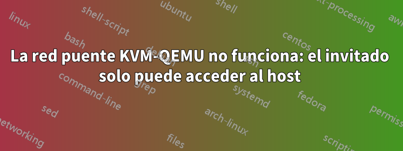 La red puente KVM-QEMU no funciona: el invitado solo puede acceder al host