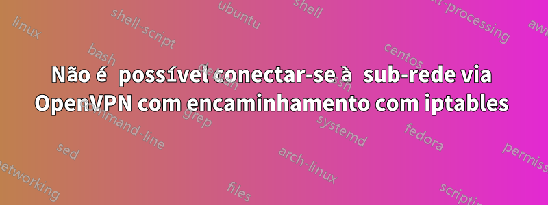 Não é possível conectar-se à sub-rede via OpenVPN com encaminhamento com iptables