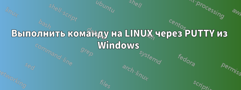 Выполнить команду на LINUX через PUTTY из Windows 