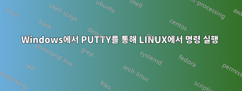 Windows에서 PUTTY를 통해 LINUX에서 명령 실행