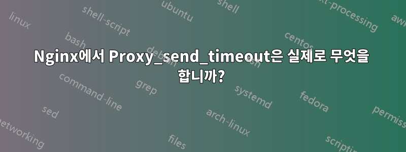 Nginx에서 Proxy_send_timeout은 실제로 무엇을 합니까?