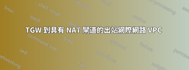 TGW 到具有 NAT 閘道的出站網際網路 VPC