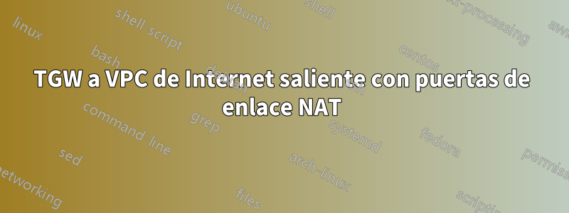 TGW a VPC de Internet saliente con puertas de enlace NAT