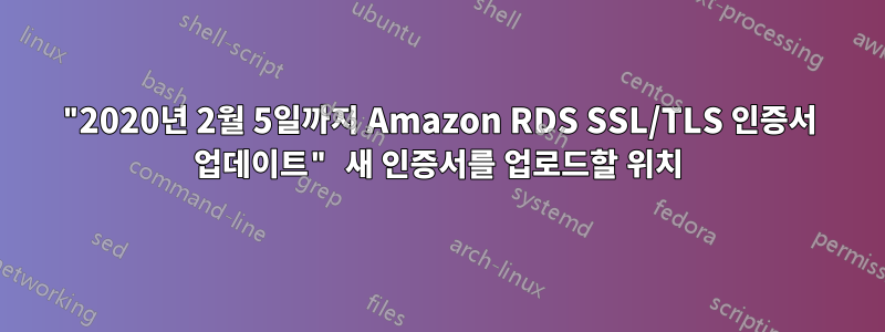 "2020년 2월 5일까지 Amazon RDS SSL/TLS 인증서 업데이트" 새 인증서를 업로드할 위치