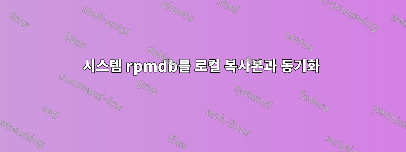 시스템 rpmdb를 로컬 복사본과 동기화