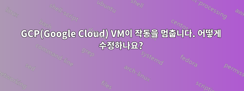 GCP(Google Cloud) VM이 작동을 멈춥니다. 어떻게 수정하나요?