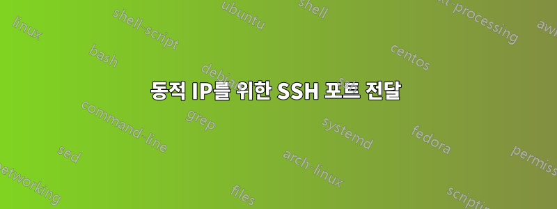 동적 IP를 위한 SSH 포트 전달