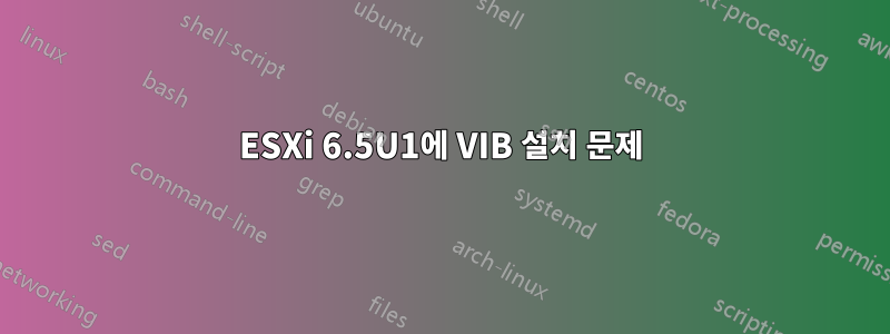 ESXi 6.5U1에 VIB 설치 문제