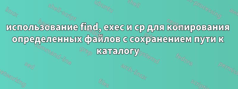 использование find, exec и cp для копирования определенных файлов с сохранением пути к каталогу