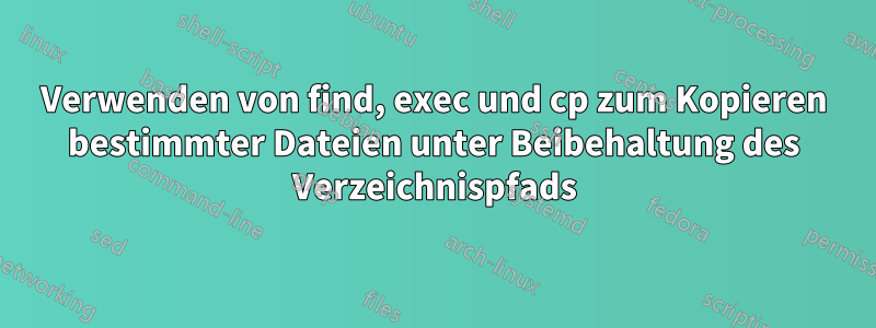 Verwenden von find, exec und cp zum Kopieren bestimmter Dateien unter Beibehaltung des Verzeichnispfads