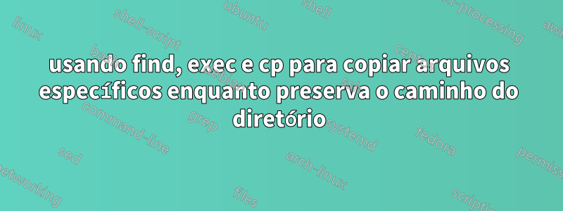 usando find, exec e cp para copiar arquivos específicos enquanto preserva o caminho do diretório