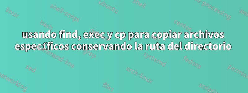 usando find, exec y cp para copiar archivos específicos conservando la ruta del directorio