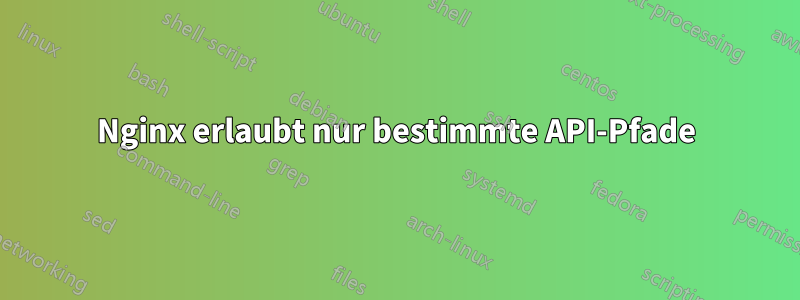 Nginx erlaubt nur bestimmte API-Pfade