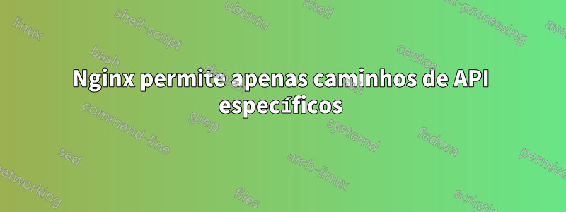 Nginx permite apenas caminhos de API específicos