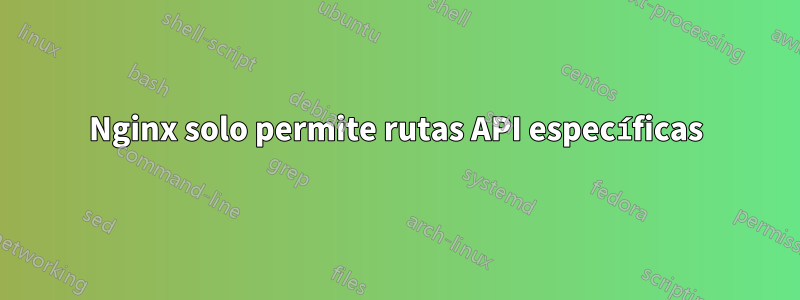 Nginx solo permite rutas API específicas