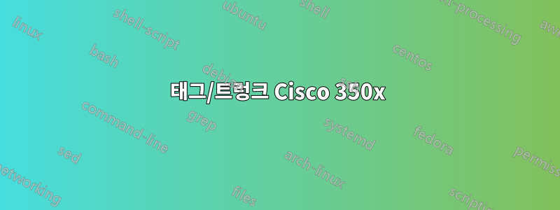 태그/트렁크 Cisco 350x