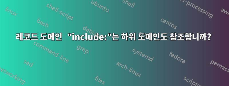 레코드 도메인 "include:"는 하위 도메인도 참조합니까?