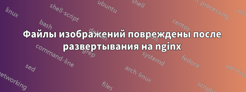 Файлы изображений повреждены после развертывания на nginx