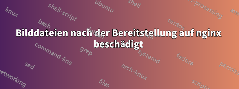 Bilddateien nach der Bereitstellung auf nginx beschädigt