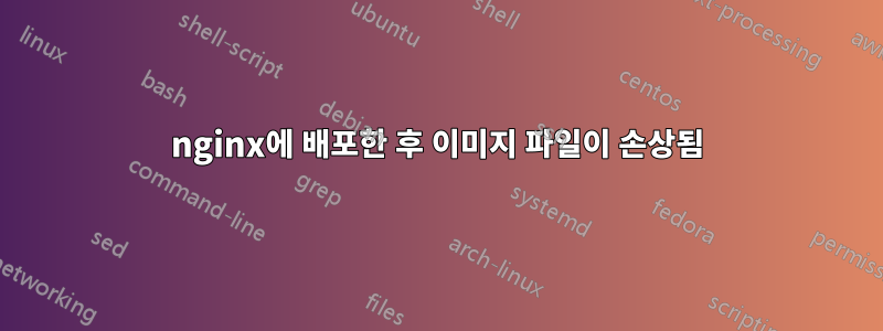 nginx에 배포한 후 이미지 파일이 손상됨