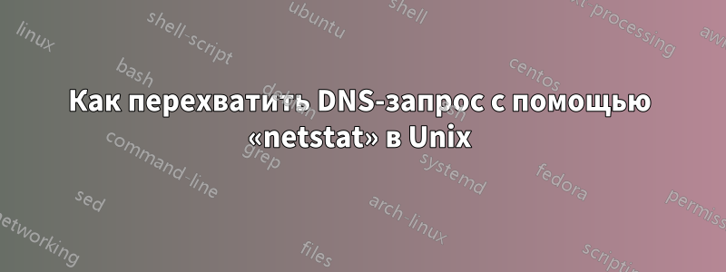 Как перехватить DNS-запрос с помощью «netstat» в Unix