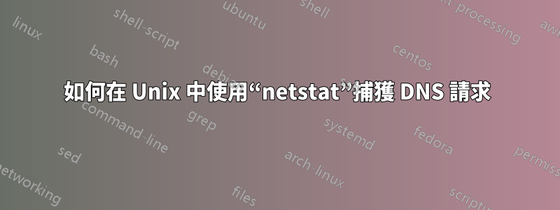 如何在 Unix 中使用“netstat”捕獲 DNS 請求