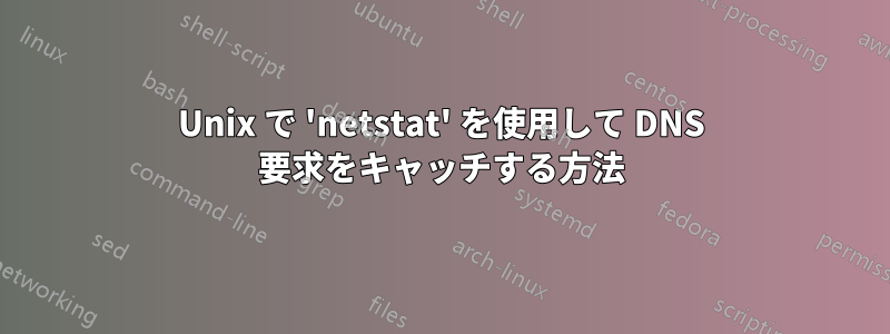 Unix で 'netstat' を使用して DNS 要求をキャッチする方法