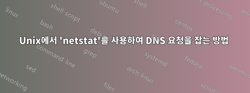 Unix에서 'netstat'를 사용하여 DNS 요청을 잡는 방법