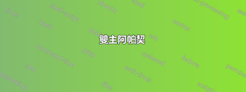 雙主阿帕契