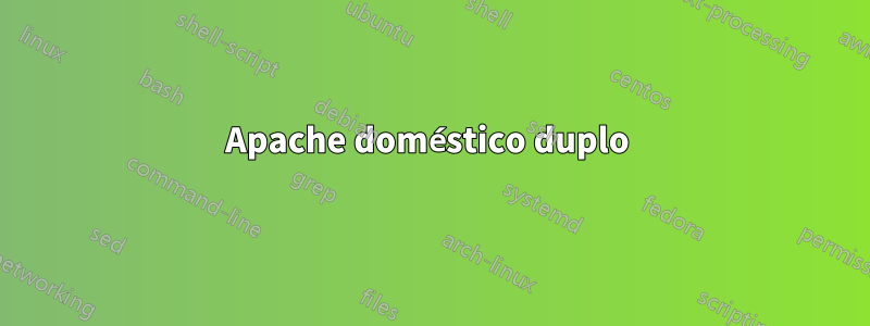 Apache doméstico duplo 