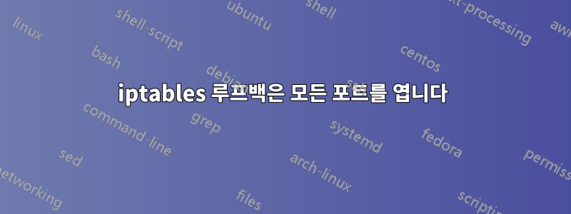 iptables 루프백은 모든 포트를 엽니다