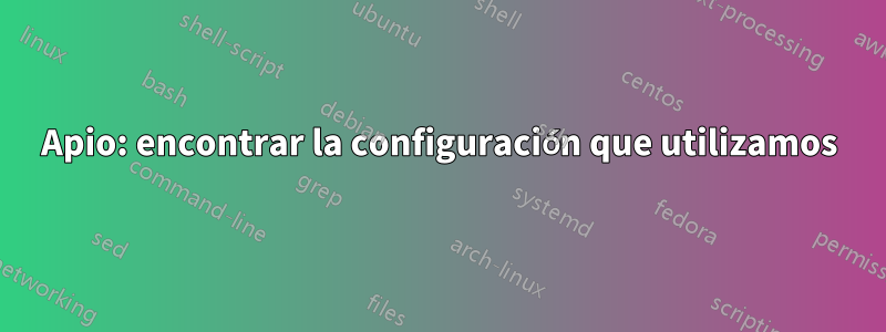 Apio: encontrar la configuración que utilizamos