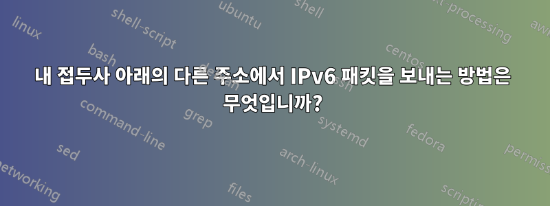 내 접두사 아래의 다른 주소에서 IPv6 패킷을 보내는 방법은 무엇입니까?