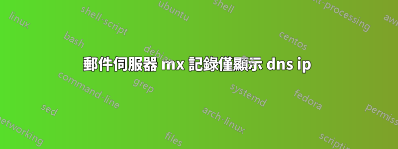 郵件伺服器 mx 記錄僅顯示 dns ip