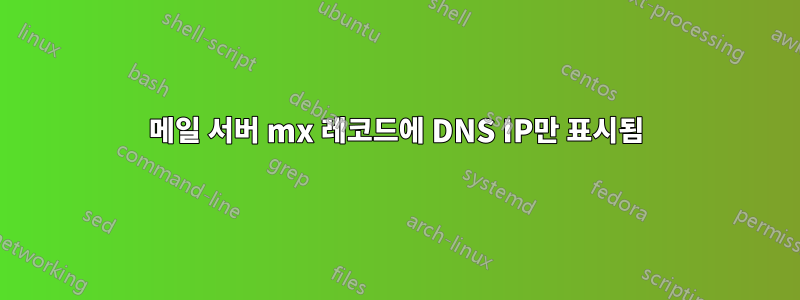 메일 서버 mx 레코드에 DNS IP만 표시됨