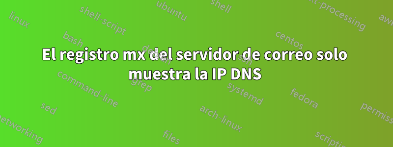 El registro mx del servidor de correo solo muestra la IP DNS