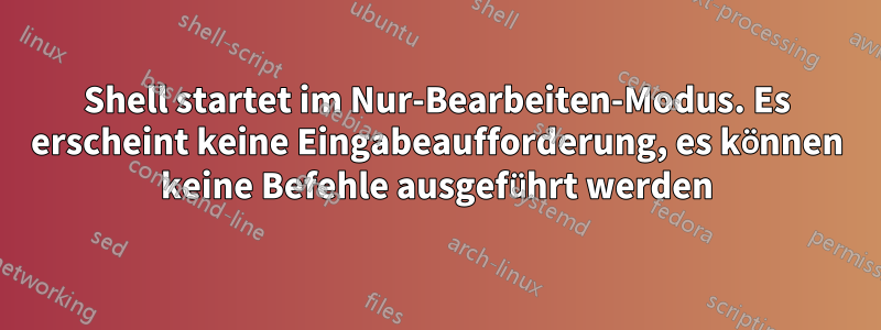 Shell startet im Nur-Bearbeiten-Modus. Es erscheint keine Eingabeaufforderung, es können keine Befehle ausgeführt werden