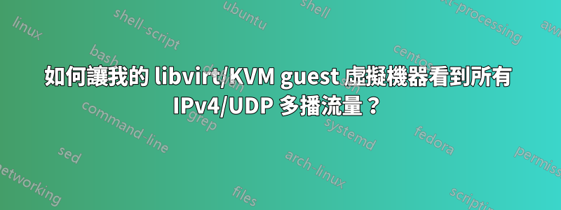 如何讓我的 libvirt/KVM guest 虛擬機器看到所有 IPv4/UDP 多播流量？