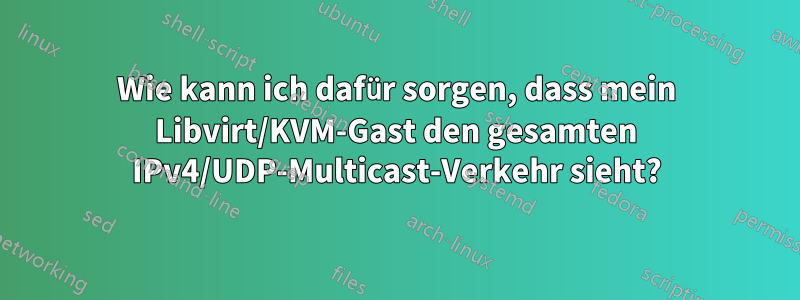 Wie kann ich dafür sorgen, dass mein Libvirt/KVM-Gast den gesamten IPv4/UDP-Multicast-Verkehr sieht?