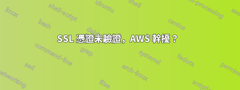 SSL 憑證未驗證，AWS 幹擾？ 