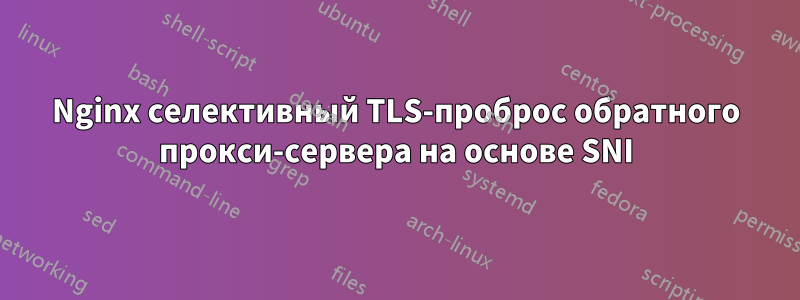 Nginx селективный TLS-проброс обратного прокси-сервера на основе SNI