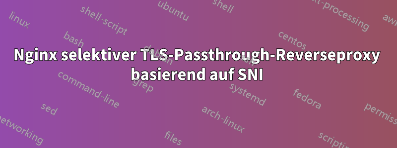 Nginx selektiver TLS-Passthrough-Reverseproxy basierend auf SNI