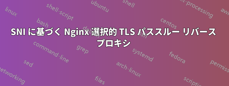 SNI に基づく Nginx 選択的 TLS パススルー リバース プロキシ