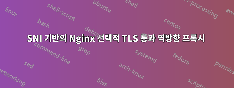 SNI 기반의 Nginx 선택적 TLS 통과 역방향 프록시