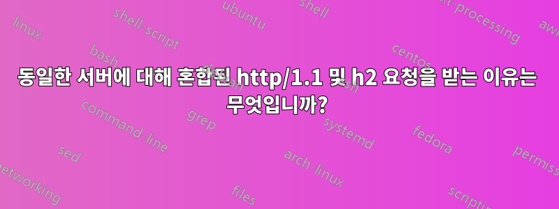 동일한 서버에 대해 혼합된 http/1.1 및 h2 요청을 받는 이유는 무엇입니까?