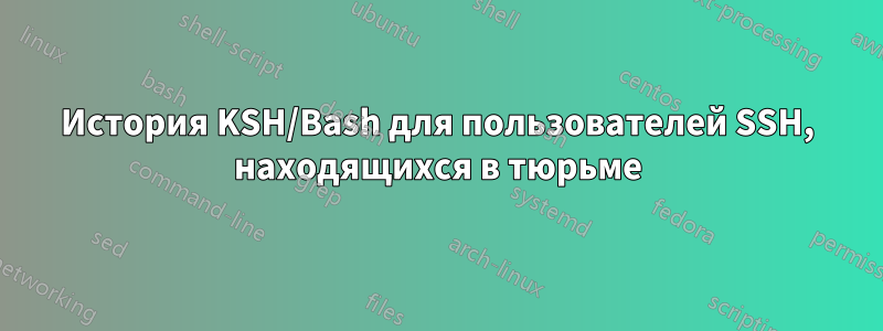 История KSH/Bash для пользователей SSH, находящихся в тюрьме