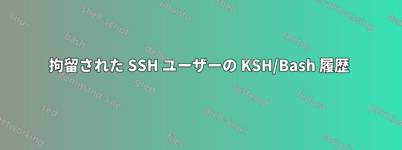 拘留された SSH ユーザーの KSH/Bash 履歴