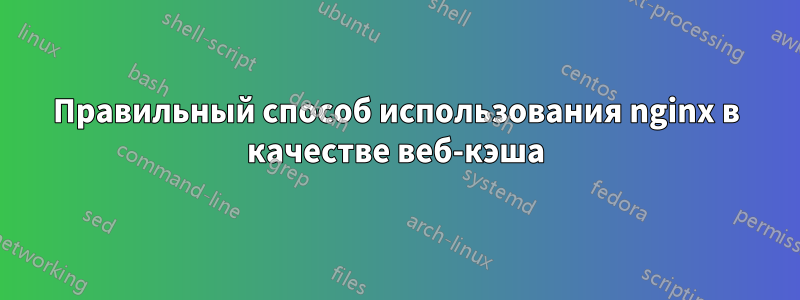 Правильный способ использования nginx в качестве веб-кэша